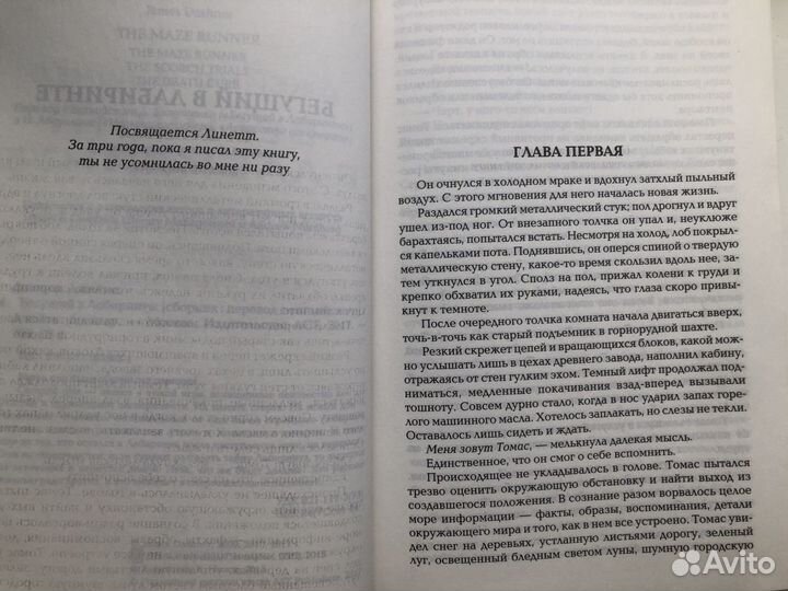 Трилогия «Бегущий в лабиринте»