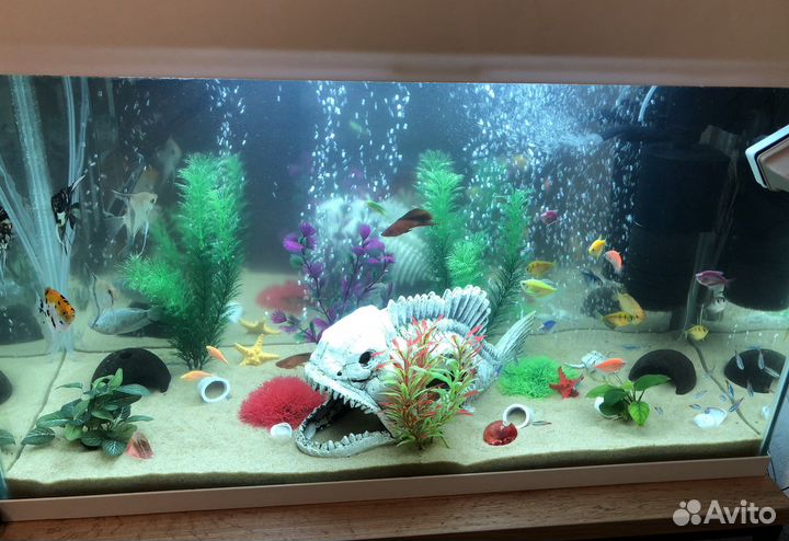 Декорация для аквариума скелет рыбы