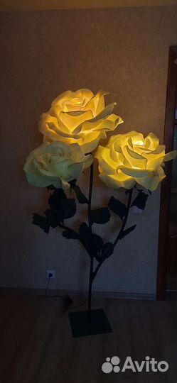 Цветы т о р ш е р