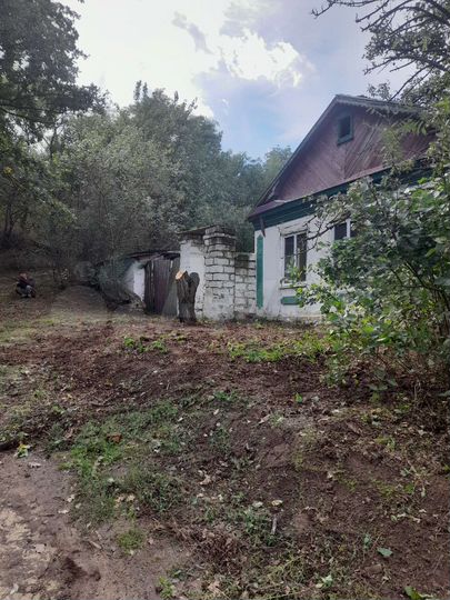 Дом 53 м² на участке 14 сот.