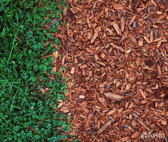 Кора лиственницы