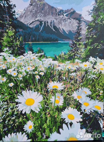 Картина 40х50