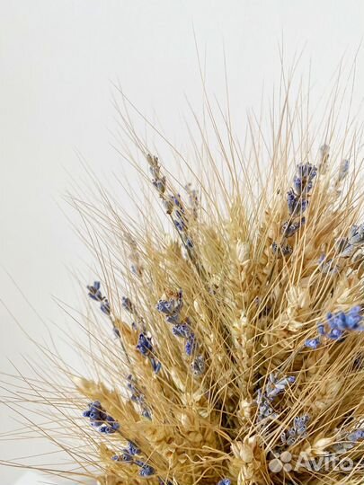 Интерьерные сухоцветы пшеницы