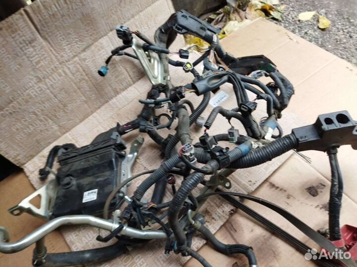 Электропроводка (коса) двигателя 1nz-fe