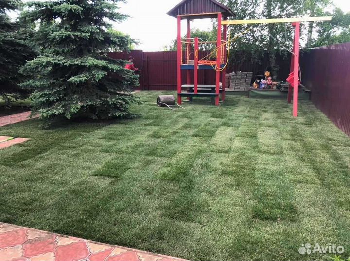 Рулонный газон от производителя