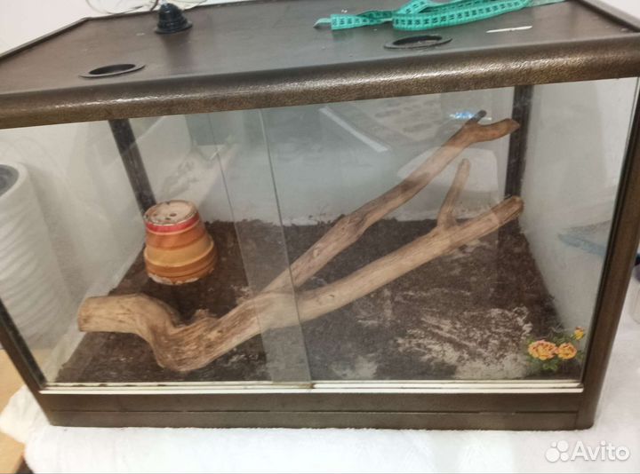 Террариум большой