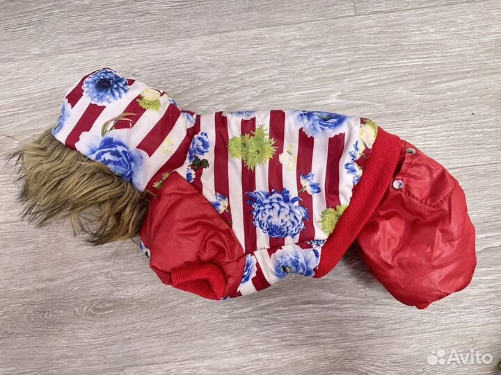 Одежда для маленьких собак