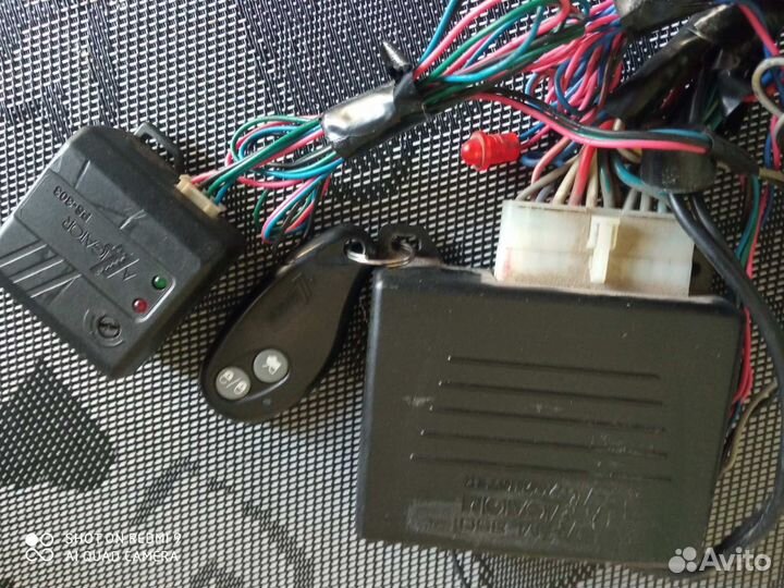 Сигнализация alligator