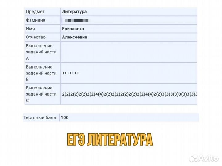 Репетитор по Литературе огэ и егэ