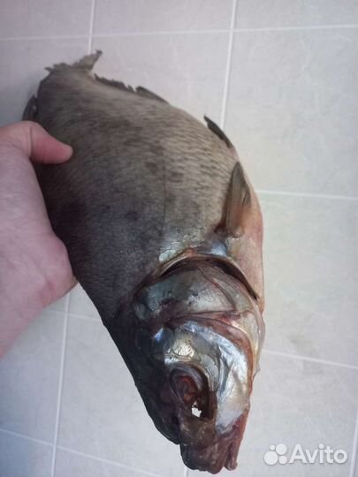 Лещ вяленый Донской вкусный,икряной