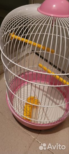 Клетка для попугая