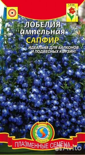 Лобелия ампельная