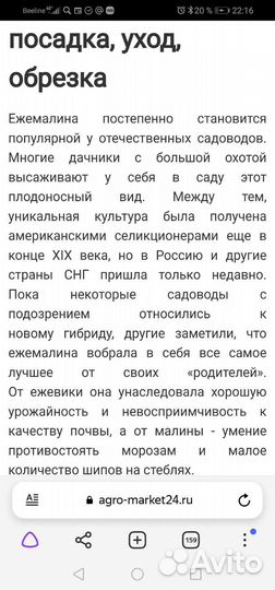 Ежемалина. Растение