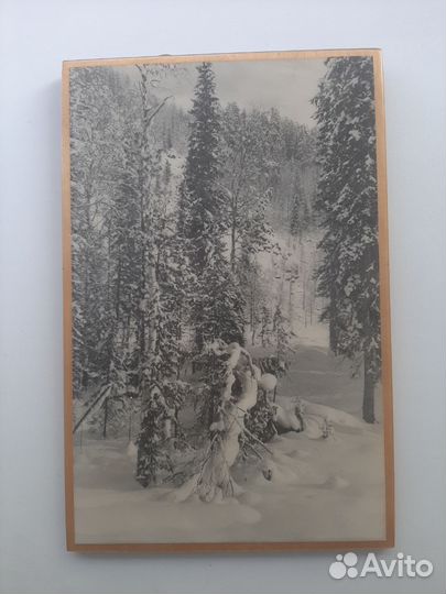 Художественные картины Красный октябрь