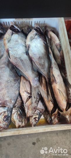 Рыба вяленная