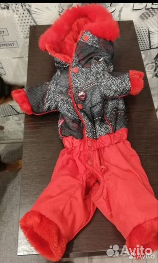 Комбинезон для собаки