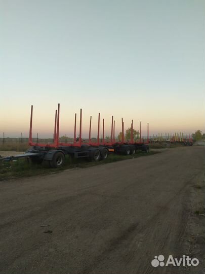 Прицеп лесовоз (сортиментовоз) Дизель-С 600321, 2008