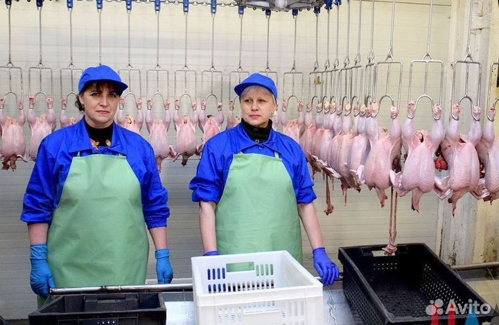 Упаковщики Вахта в Республику Крым