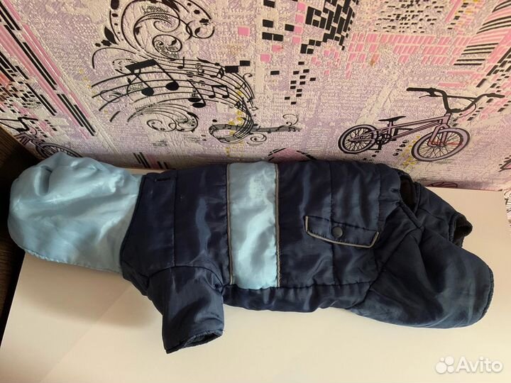 Одежда для собак