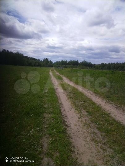 Участок 43 сот. (ИЖС)