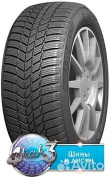 Evergreen EW66 225/65 R17 102S