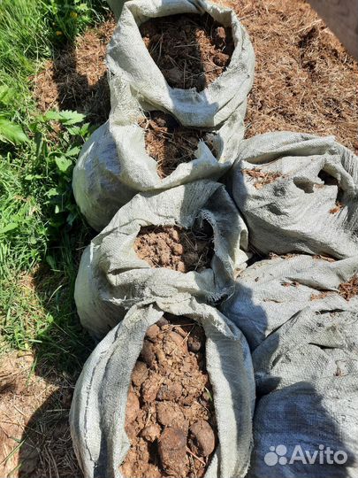 Сухой конский навоз