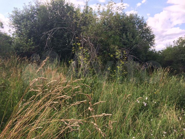 Участок 58 сот. (ИЖС)