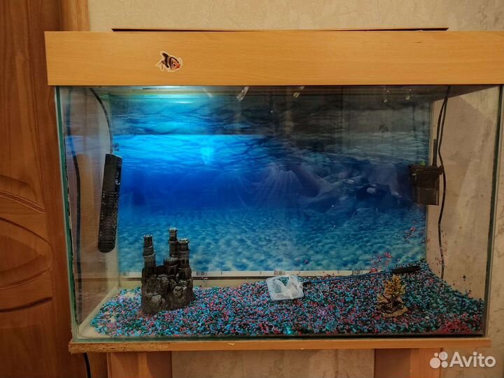 Аквариум и Украшение для аквариума