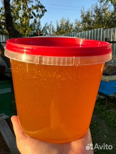 Мед домашний 2023