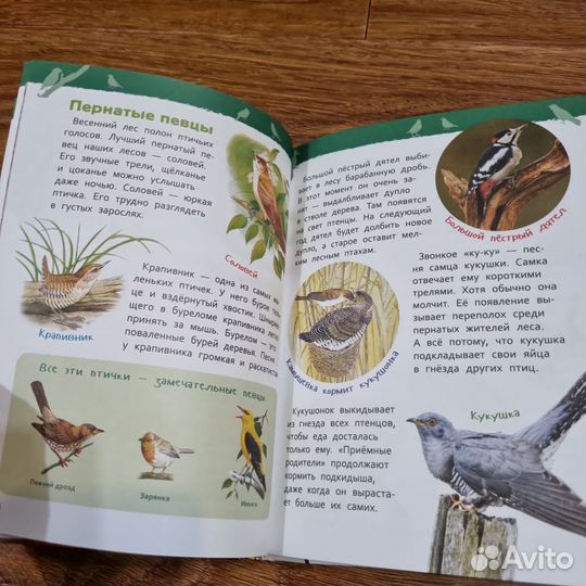 Энциклопедия для детского сада