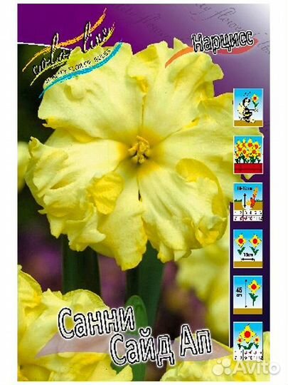 Нарцисс Санни Сайд Ап (луковицы)