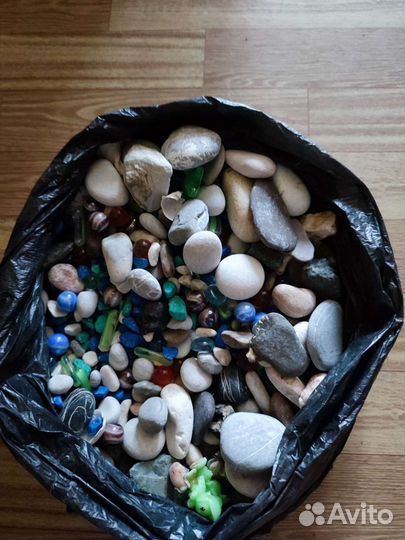 Фильтр сачек подсветка растения камни