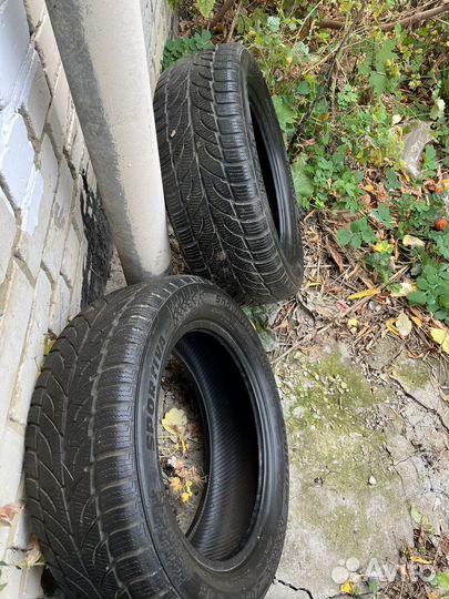 Sportiva Snow Win 205/55 R16