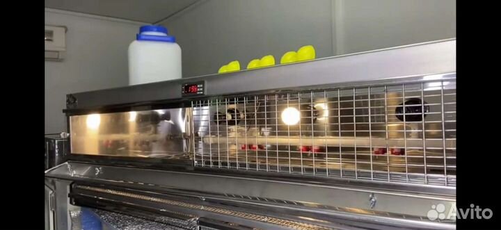 Брудер перепелиный из нержавейки