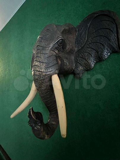 Дом 160 м² на участке 2 га