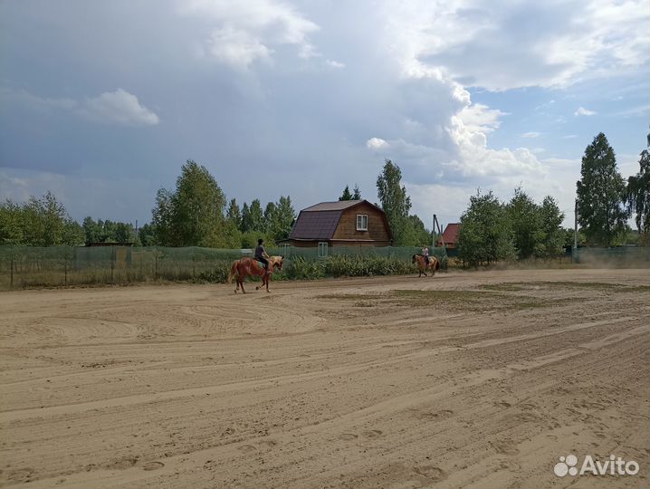 Постой лошадей