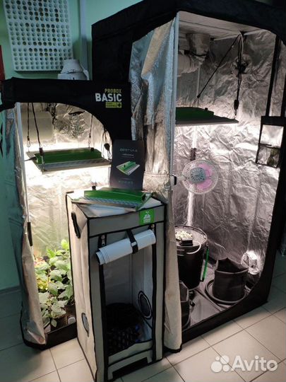 Гроутент Гроубокс