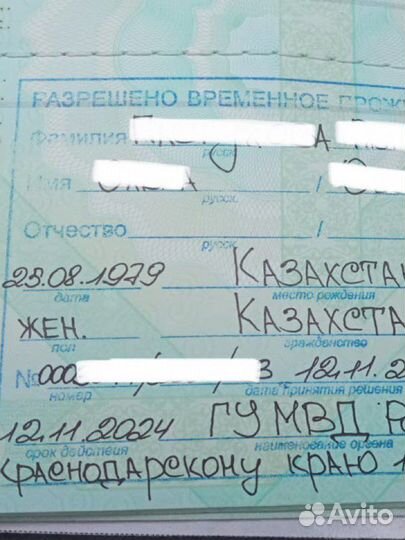 Гражданство РФ, РВП, ВНЖ, нря, запрет, патент