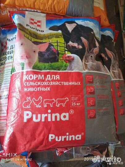 Purina комбикорм и бвмк для с/х животных и птицы