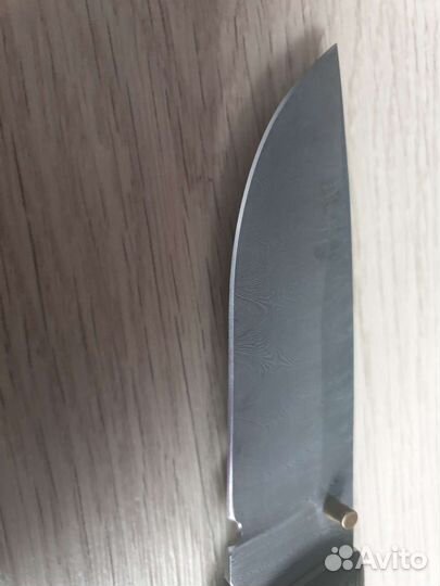 Охота и рыбалка