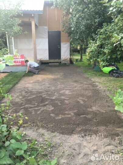 Рулонный газон 