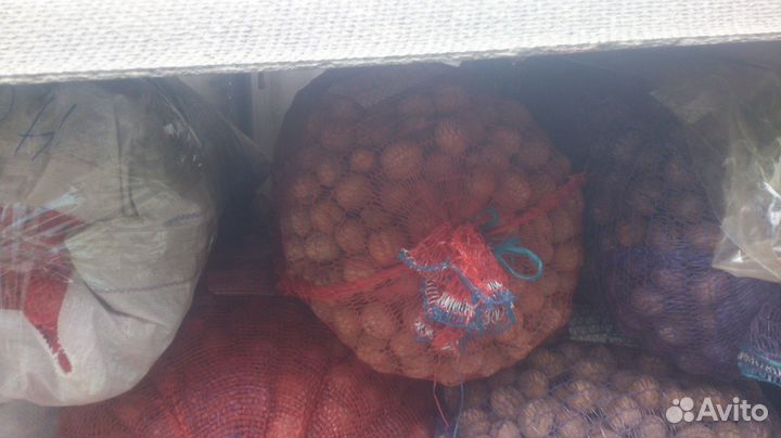 Грецкий орех для посадки 185кг. и др. целей Армави