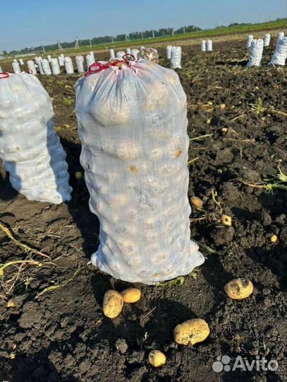 Мешки полипропиленовые