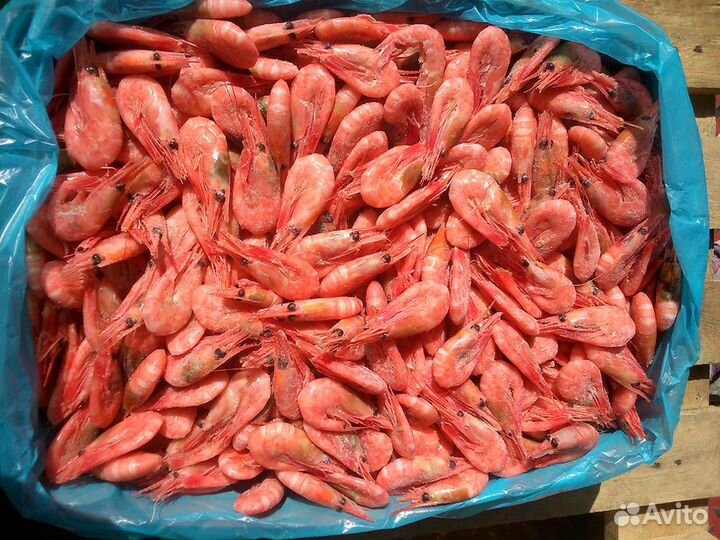 Креветки 90/130