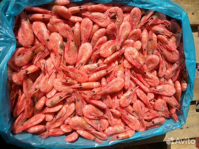 Креветки 90/130