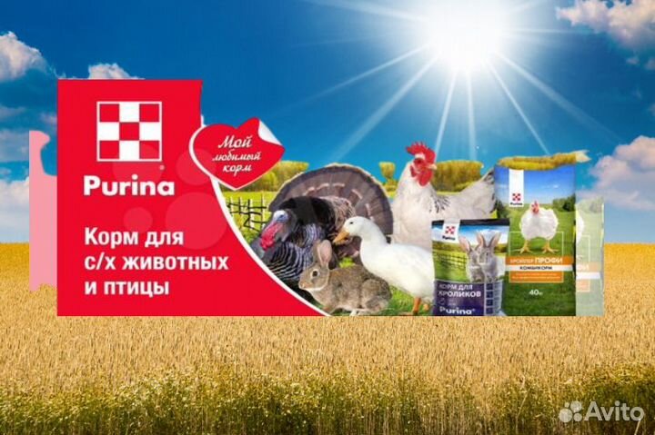 Комбикорм Purina от дилера, доставка