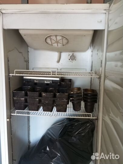 Холодильный шкаф ариада неисправный