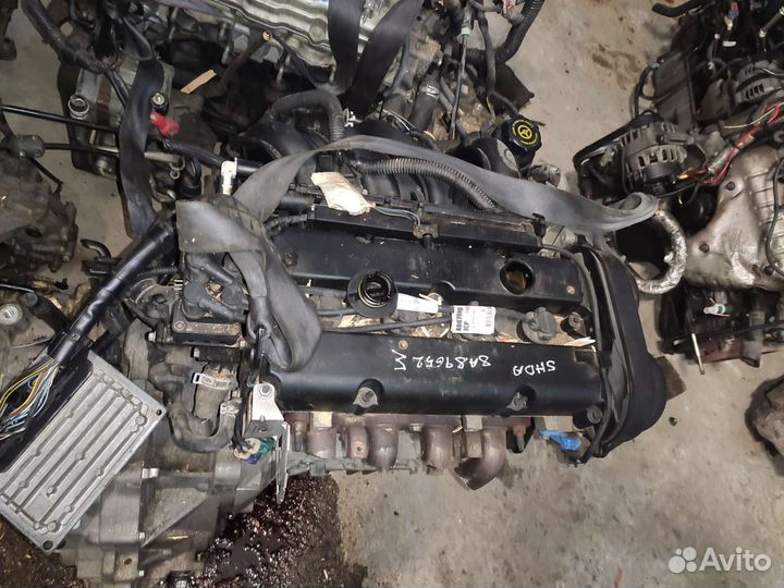 Двигатель shda 1.6 Ford Focus 2 Форд Фокус 2