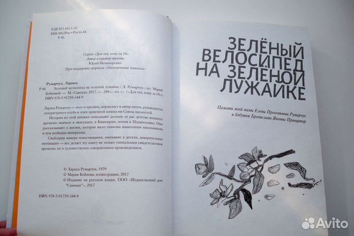 Зеленый велосипед на зеленой лужайке