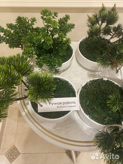 Искусственные цветы растения зелень кактусы бонсай